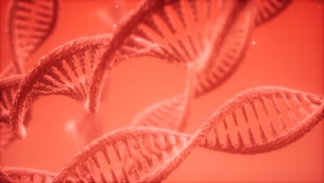 structure-of-the-DNA-double-helix-animation